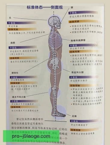 某多面手身体条件评估，速度力量与耐力成考察重点